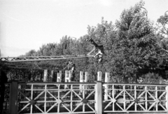 Oroszország, Moszkva, Gorkij-park., 1939, UWM Libraries, Harrison Forman, mutatvány, hajóhinta, Fortepan #259916