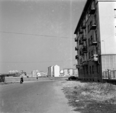 1959, UWM Libraries, lakótelep, Fortepan #260010