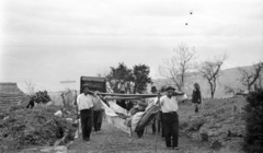 Portugália,Madeira-szigetek,Madeira, Funchal, 1924, UWM Libraries, Robert Swanton Platt, kirándulás, függőágy, Fortepan #260017