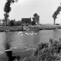 Belgium, Damme, 1959, UWM Libraries, ladik, söröző, csatorna, kávéház, kacsa, Fortepan #260049