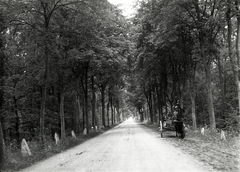 Lengyelország, a felvétel Osie közelében készült, útközben Gdańsk felé., 1934, UWM Libraries, Boyd Louise Arner, Fortepan #260093