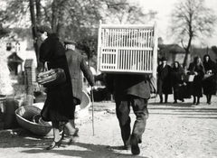 Lengyelország, Grodzisk Wielkopolski, piac., 1934, UWM Libraries, Boyd Louise Arner, piac, kalitka, ketrec, Fortepan #260100