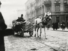 Lengyelország, Varsó, a felvétel a későbbi gettó területén készült., 1934, UWM Libraries, lovaskocsi, szalma, Fortepan #260105