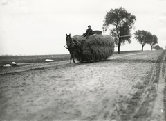 Lengyelország, a felvétel Varsó-tól délkeletre kb.43 km-re készült, útközben Lublin felé., 1934, UWM Libraries, Boyd Louise Arner, lovaskocsi, széna, Fortepan #260121