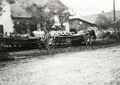 Lengyelország, a felvétel Varsó-tól keletre kb. 14 km-re készült, útközben Lublin felé., 1934, UWM Libraries, Boyd Louise Arner, Fortepan #260141