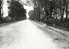 Lengyelország, a felvétel Varsó-tól északnyugatra kb. 34 km-re készült, útközben Płock felé.., 1934, UWM Libraries, Boyd Louise Arner, Fortepan #260142