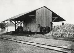 Lengyelország, Kalisz, a felvétel a település külső területén, a vasútállomásnál készült, jobbra cukorrépa halom., 1934, UWM Libraries, Boyd Louise Arner, Fortepan #260144