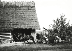 Lengyelország, a felvétel Krosno-tól keletre kb. 15 km-re készült, útközben Przemyśl felé., 1934, UWM Libraries, Boyd Louise Arner, Fortepan #260154