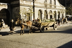 Poland, Warsaw, ulica Targowa, szemben a 70-es számú ház., 1960, UWM Libraries, colorful, Horse-drawn carriage, Fortepan #260263