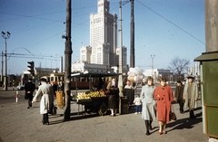 Poland, Warsaw, plac Defilad (Felvonulás tér), a Kultúra és Tudomány Palotája a mai Rondo Romana Dmowskiego (Aleje Jerozolimskie - ulica Marszalkowska kereszteződés) felől., 1960, UWM Libraries, colorful, fruit seller, Fortepan #260295