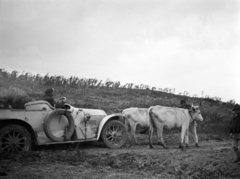 Románia,Erdély, Nagyselyk, a felvétel a település határában készült., 1913, UWM Libraries, Frederick Gardner Clapp, automobil, ökörfogat, pótkerék, Fortepan #260442