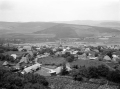 Románia,Erdély, Sólyomkő, 1930, UWM Libraries, Frederick Gardner Clapp, Fortepan #260445