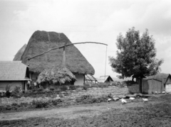 Románia,Erdély, Sólyomkő, 1913, UWM Libraries, Frederick Gardner Clapp, gémeskút, nádtető, Fortepan #260471