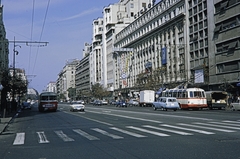 Románia, Bukarest, Bulevardul General Gheorghe Magheru., 1970, UWM Libraries, Harrison Forman, gyalogátkelő, trolibusz, Fortepan #260508