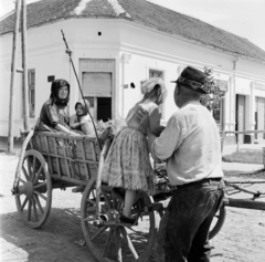 Szerbia, Ópazova, 1955, UWM Libraries, Eugene Vernon Harris, lovaskocsi, népviselet, gyerek, redőny, rakott szoknya, ostor, képarány: négyzetes, Fortepan #260582