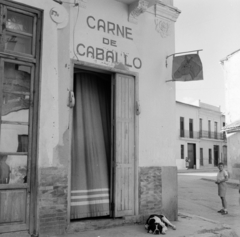 Spain, Plaça Creu de Quintana, lóhús mészárszék., 1961, UWM Libraries, Best of, Fortepan #260612