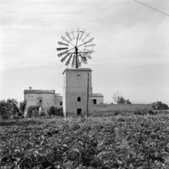 Spain, szélmalom., 1961, UWM Libraries, Fortepan #260620