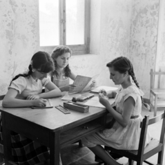 Spain, 1961, UWM Libraries, reading, braid, blackboard, Fortepan #260625