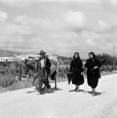 Spain, untitled, 1961, UWM Libraries, Fortepan #260635