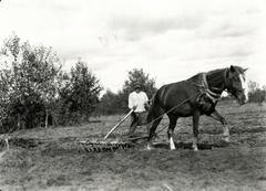 Ukrajna, a felvétel Ratne (ekkor Ratno)-tól északkeletre kb. 13 km-re készült, úton Kobrin felé., 1934, UWM Libraries, Boyd Louise Arner, ló, borona, mezőgazdaság, férfi, Fortepan #260706