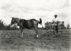 Ukrajna, a felvétel Ratne (ekkor Ratno)-tól északkeletre kb. 13 km-re készült, úton Kobrin felé., 1934, UWM Libraries, Boyd Louise Arner, ló, borona, mezőgazdasági gép, férfi, Fortepan #260707