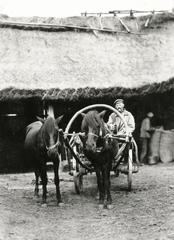 Ukrajna, Bucsin, (ekkor Bucyń), tanyaudvar és istálló., 1934, UWM Libraries, Boyd Louise Arner, Fortepan #260711