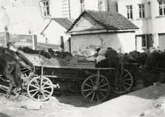 Ukrajna, Kremenec, (ekkor Krzemieniec), lovak etretése, itatása egy sikátorában, 1934, UWM Libraries, Boyd Louise Arner, Fortepan #260797