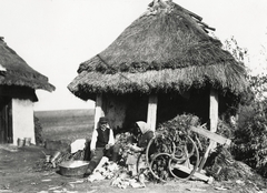 Ukrajna, a felvétel Lviv-től keletre kb. 23 km-re készült. Egy férfi és egy nő káposztát készít elő sózásra., 1934, UWM Libraries, Boyd Louise Arner, szalma, káposzta, parasztház, Fortepan #260810