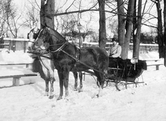 1910, Fortepan, winter, horse, coach, teamster, sleigh, Fortepan #26083