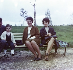 Magyarország, Gellérthegy, Budapest XI., Citadella alatti déli lejtő, a felvétel a Jubileumi parkban készült., 1966, Faragó György, Budapest, színes, Fortepan #260887