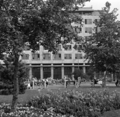 Magyarország, Budapest V., Erzsébet (Engels) tér, háttérben a Budapesti Rendőr-főkapitányság épülete., 1960, Faragó György, park, Budapest, Fortepan #260899