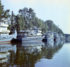 Magyarország, Óbuda, Budapest III., Óbudai Hajógyár, Hajógyári-öböl. Dunajszkij 41, 42, 43, 44 és 45 nevű tolóhajók, jobbra az Árpád híd részlete látható., 1962, Faragó György, hajó, kikötő, színes, cirill írás, tolóhajó, Budapest, Fortepan #260969