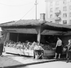 Magyarország, Budapest VIII., Teleki László tér, piac., 1966, Faragó György, Budapest, Fortepan #260993