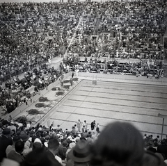 Germany, Berlin, Olimpiai Úszóstadion, a XI. nyári olimpiai játékok alatt., 1936, Lőrincze Judit, swimming, swimming pool, Berlin Olympics, Olympics, starting block, Fortepan #26100