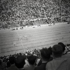 Németország, Berlin, Olimpiai Úszóstadion, a XI. nyári olimpiai játékok vizilabdatornája., 1936, Lőrincze Judit, medence, Berlini Olimpia, olimpia, stadion, vízilabda, Fortepan #26102