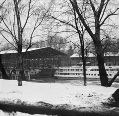 Magyarország, Óbuda, Budapest III., Óbudai Hajógyár, Hajógyári-öböl, a Druzba motoros személyhajó a hajóvédő csarnok mellett., 1967, Faragó György, Budapest, Fortepan #261065