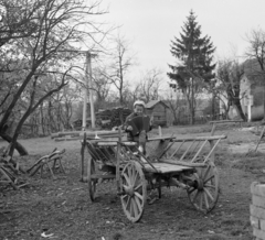 1966, Faragó György, szekér, Fortepan #261199