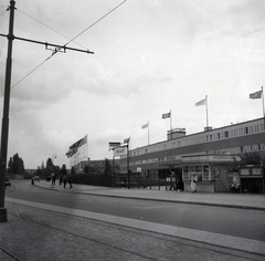 Németország, Berlin, Tempelhof repülőtér., 1936, Lőrincze Judit, horogkereszt, olimpia, repülőtér, Junkers, zászlódísz, olimpiai jelkép, kerékpár, Fortepan #26122