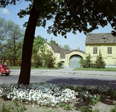 Magyarország, Tata, Hősök tere 7., 1971, Faragó György, színes, Fortepan #261324