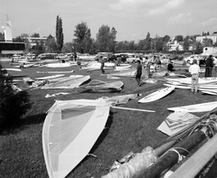 Magyarország, Balatonfüred, Magyar Vitorlás Szövetség Balatonfüredi vízitelep, balra az Országos Műszaki Fejlesztési Bizottság / OMFB üdülője. A felvétel szörf verseny idején készült., 1986, Faragó György, vitorlázás, szörf, Fortepan #261485