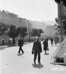 Csehország, Karlovy Vary, a Mlýnské nábřeží a Teplá folyó mellett, a Malomkút kolonnád (Mlýnská kolonáda) felé., 1956, Faragó György, utcakép, Csehszlovákia, Fortepan #261567