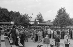 Csehország, Prága, ulice Radotínská 69/34., lóversenypálya (Dostihové závodiště Velká Chuchle / Chuchle Arena Praha)., 1956, Faragó György, várakozás, közönség, Csehszlovákia, Fortepan #261639