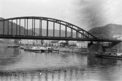 Csehország, Děčín, az Elba folyó feletti Tyršův most (Tyrš/Tirsch-híd), jobbra a háttérben a Stoličná hegy látható., 1956, Faragó György, folyó, vasúti híd, Csehszlovákia, Fortepan #261655