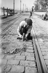 Magyarország, Budapest V., Dunakorzó, a villamospálya javítása. Háttérben a Széchenyi Lánchíd., 1950, Faragó György, Best of, rakpart, karbantartás, villamos, kockakő, munkás, szerszám, Budapest, útjavítás, Fortepan #261708