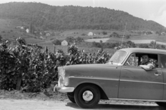 Magyarország,Balaton, Badacsonytomaj,Badacsony, Római út., 1959, Faragó György, Opel Olympia Rekord, Fortepan #261728