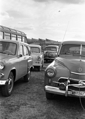 Moszkvics 423, Trabant 500, Škoda 1101, Warszawa M201 típusú személygépkocsik, a háttérben Ikarus 30 típusú autóbusz., 1963, MHSZ, közlekedés, jármű, csehszlovák gyártmány, német gyártmány, Trabant-márka, szovjet gyártmány, Skoda-márka, Moszkvics-márka, lengyel gyártmány, automobil, Skoda 1101/1102 Tudor, Moszkvics 423, Trabant 500, FSO-márka, rendszám, FSO Warszawa, Fortepan #26173