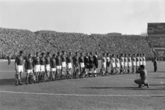 Magyarország, Népstadion, Budapest XIV., Magyarország - Franciaország (2:0) válogatott labdarúgó-mérkőzés 1957. október 6-án., 1957, Faragó György, futballcsapat, Budapest, Fortepan #261750