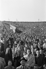 Magyarország, Népstadion, Budapest XIV., Magyarország - Franciaország (2:0) válogatott labdarúgó-mérkőzés 1957. október 6-án., 1957, Faragó György, Budapest, nézőtér, tömeg, zászló, Fortepan #261753