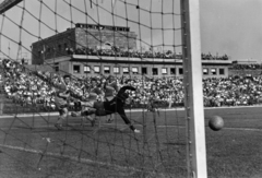 Magyarország, Népstadion, Budapest XIV., 1957. június 2., kettős mérkőzés. Ferencváros - Pécs-Baranya 3:0, Danka Imre a pécsi kapus vetődik a labdára., 1957, Faragó György, Budapest, futballpálya, Fortepan #261777