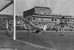 Magyarország, Népstadion, Budapest XIV., 1957. június 2., kettős mérkőzés. Ferencváros - Pécs-Baranya 3:0, Danka Imre a pécsi kapus vetődik a labdára. Kresz (6) és Szőcs (2) pécsi védők., 1957, Faragó György, Budapest, híres ember, Fortepan #261778